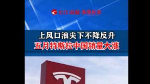 風口浪尖下不降反升  五月特斯拉中國銷量大漲