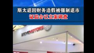 斯太退因財務造假被強制退市  證監會已立案調查